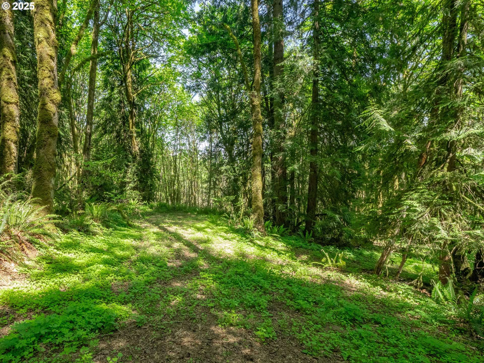 Hillsboro, OR 97123,27701 SW STRAWBERRY HILL DR