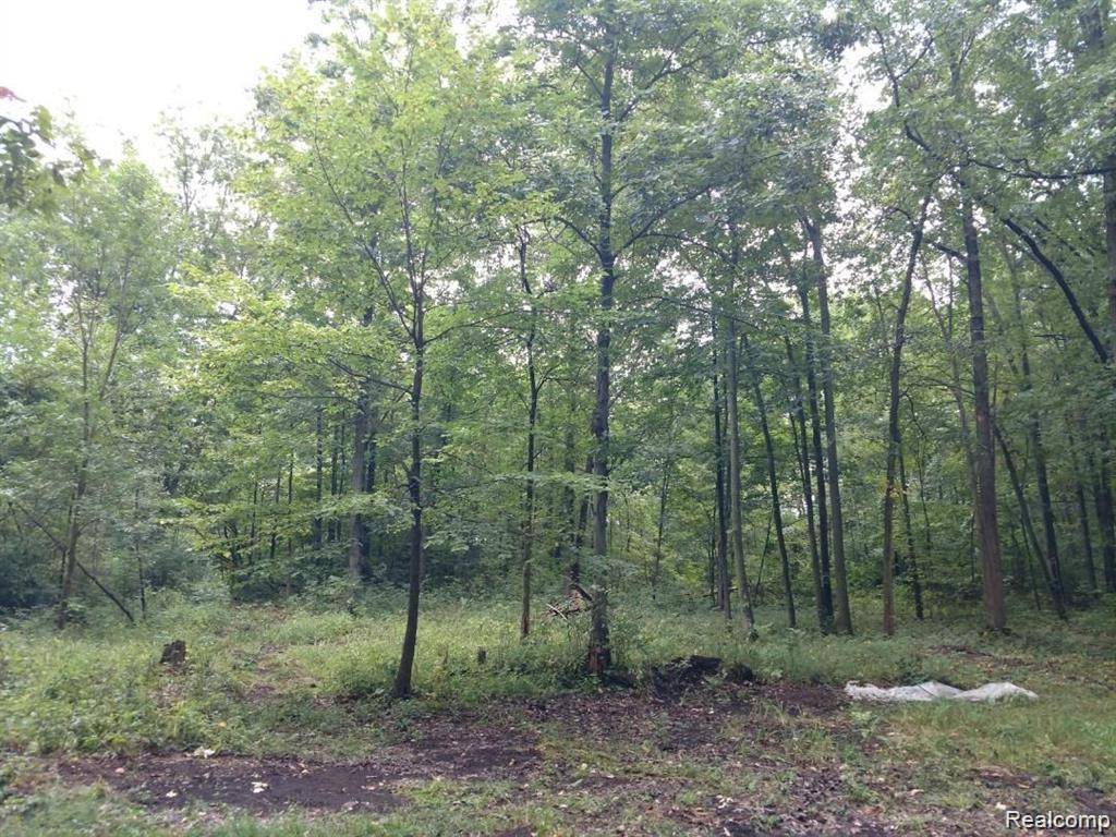 Newport, MI 48166,03 Joann DR