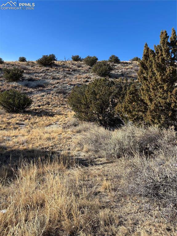 Canon City, CO 81212,400 Autumn CT