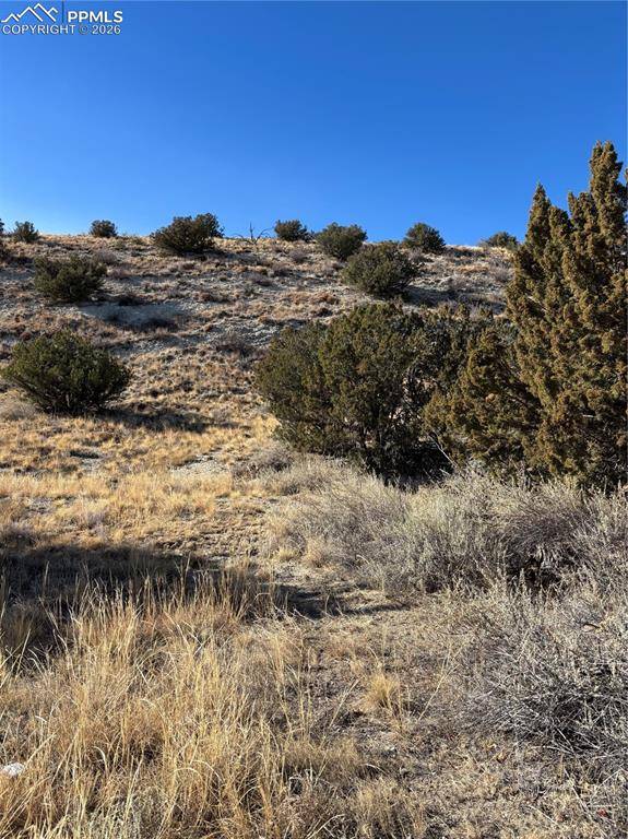 Canon City, CO 81212,400 Autumn CT