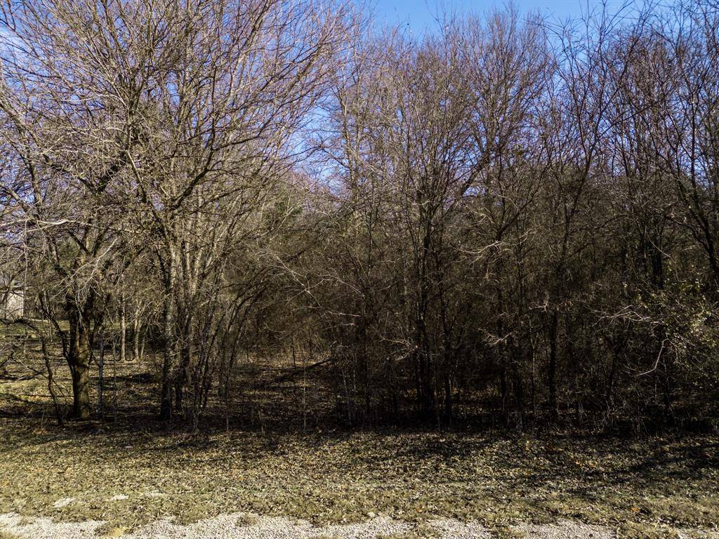 Whitney, TX 76692,12039 Shady Creek Drive