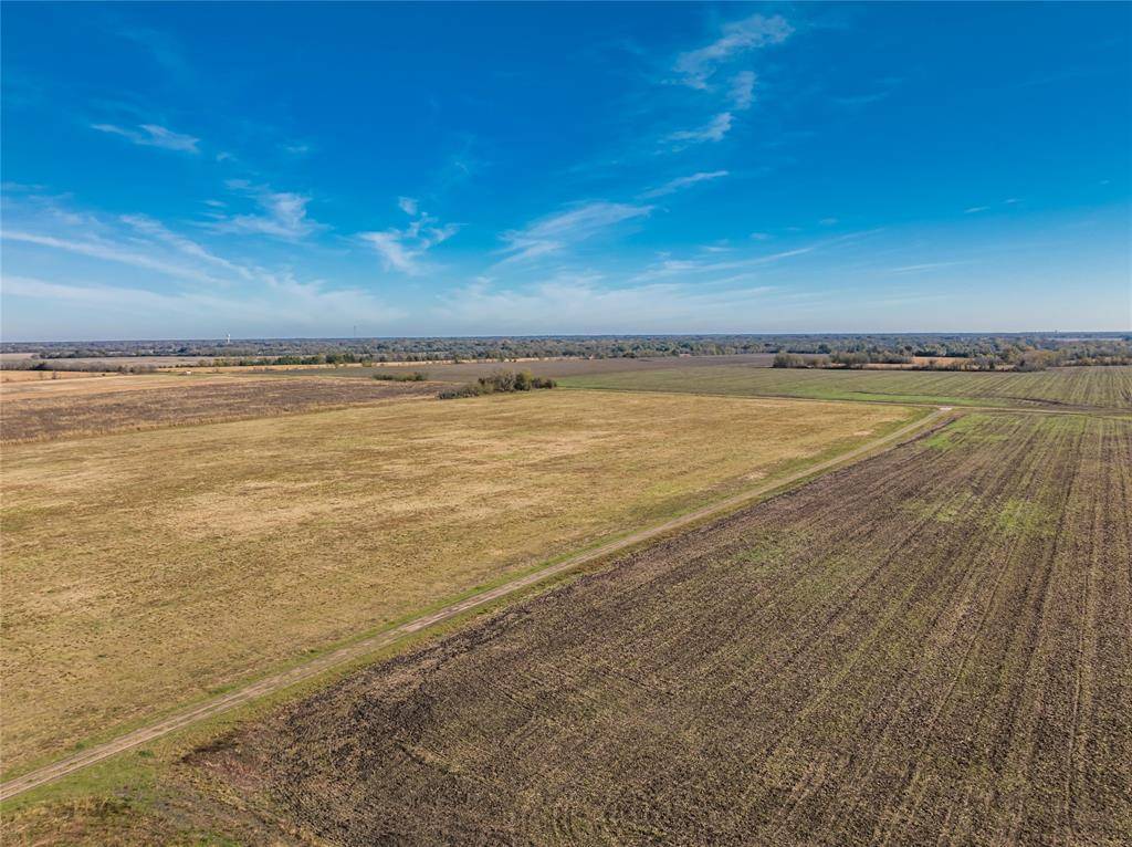 Pattonville, TX 75468,00 00 County Road 16110