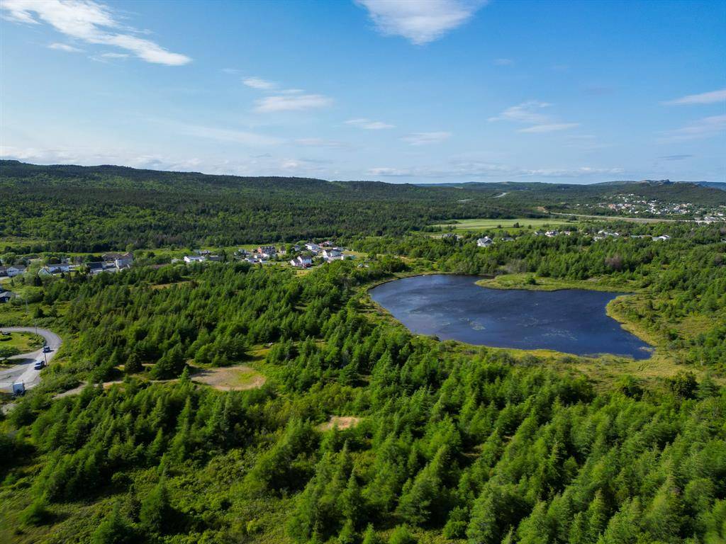 Conception Bay North, NL A0A 1G0,21 Reids Road