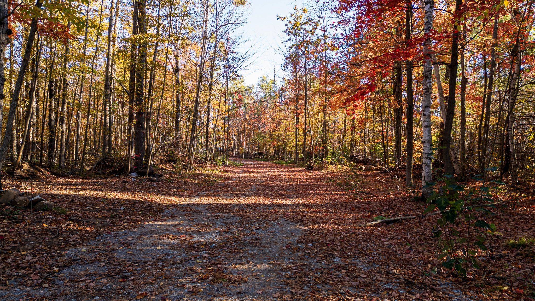 Ramara, ON L3V 0P6,2085 MONCK RD