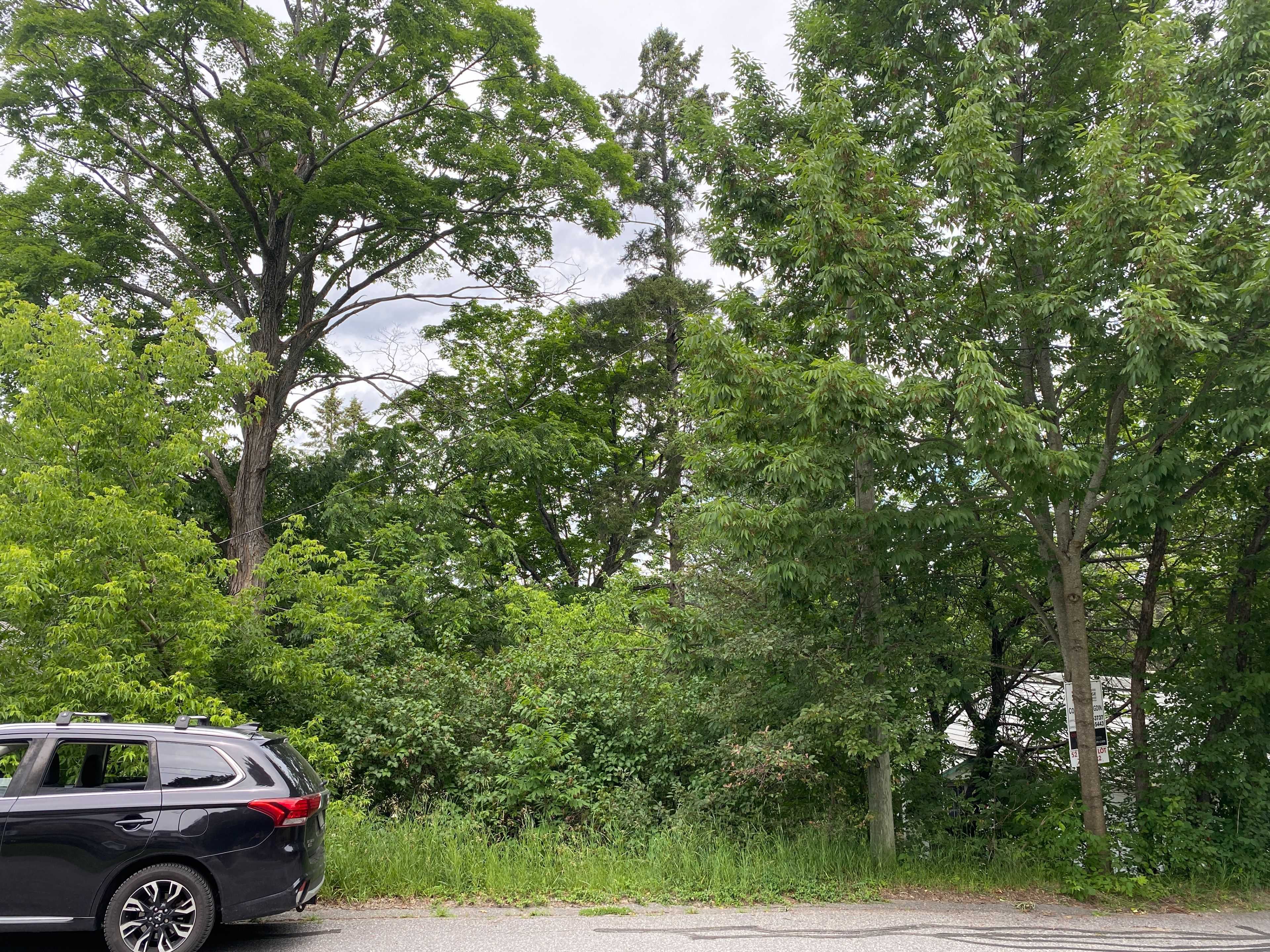 Huntsville, ON P1H 1P6,16 CORA ST E