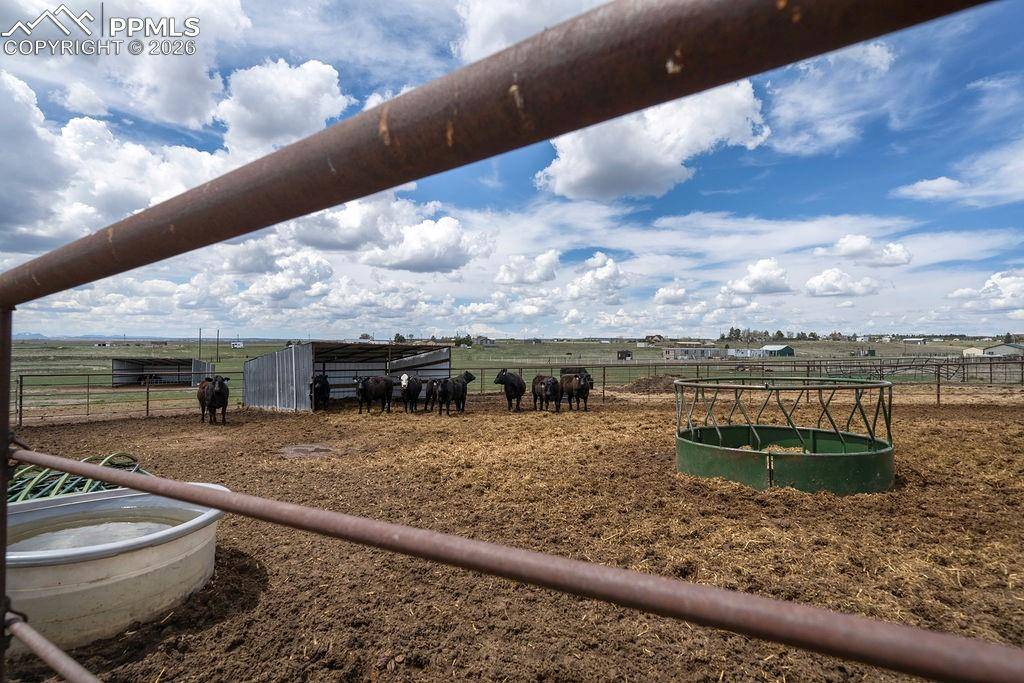 Calhan, CO 80808,24120 Palomino CIR