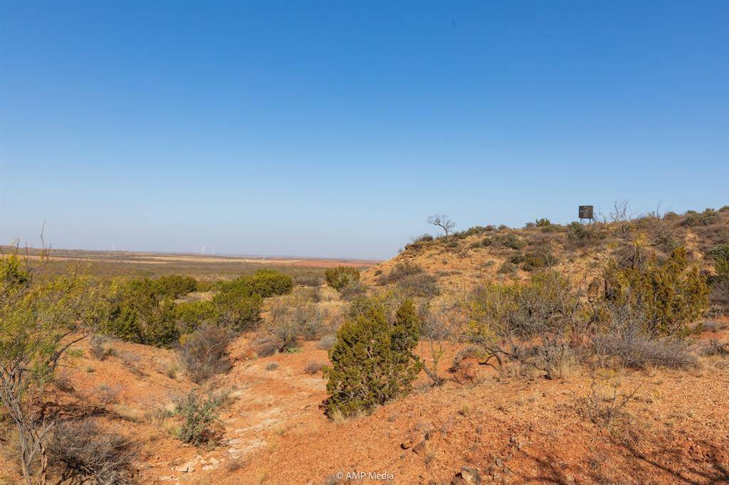 Sweetwater, TX 79556,0 County Road 441