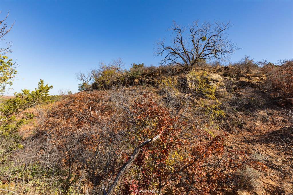 Sweetwater, TX 79556,0 County Road 441