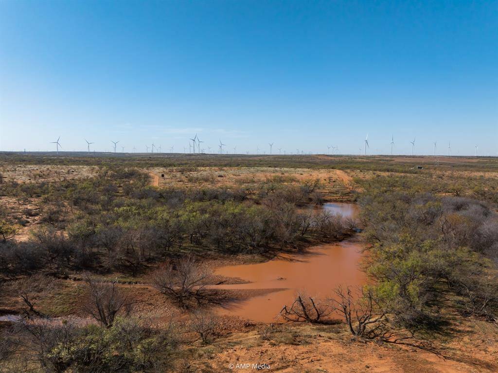 Sweetwater, TX 79556,0 County Road 441