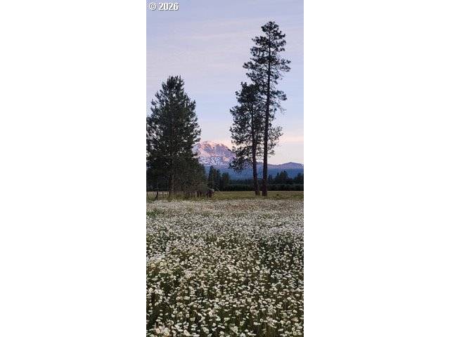 Glenwood, WA 98619,106 LAKESIDE RD