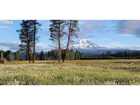 Glenwood, WA 98619,106 LAKESIDE RD