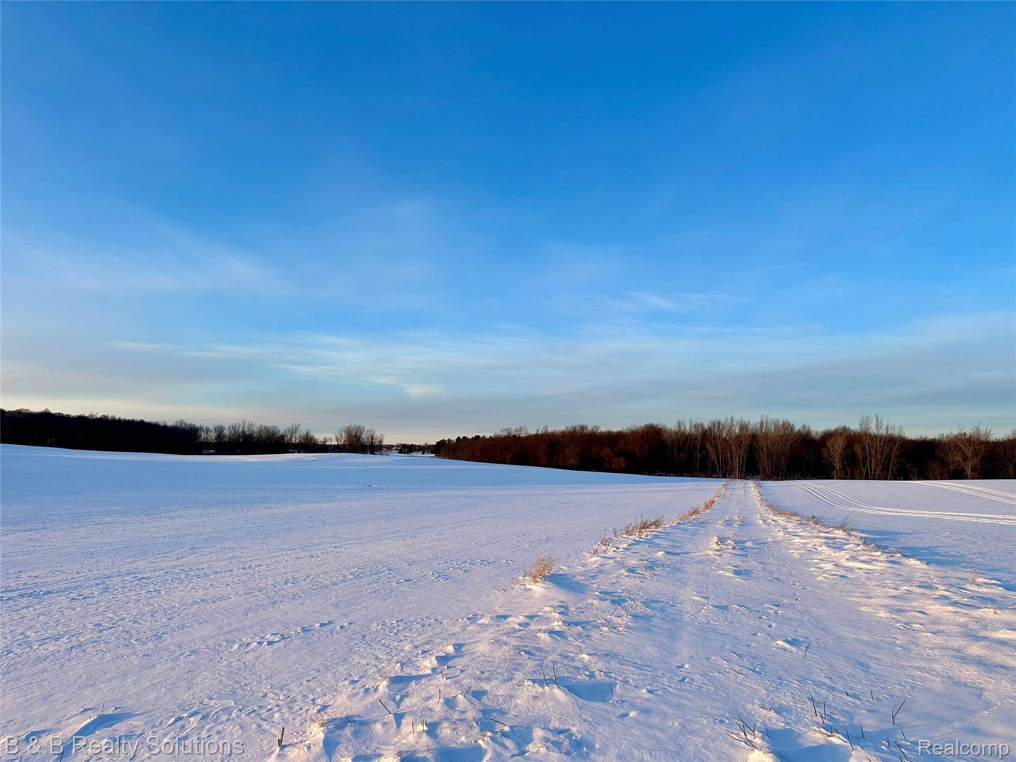 Mayville, MI 48744,000 Mayville