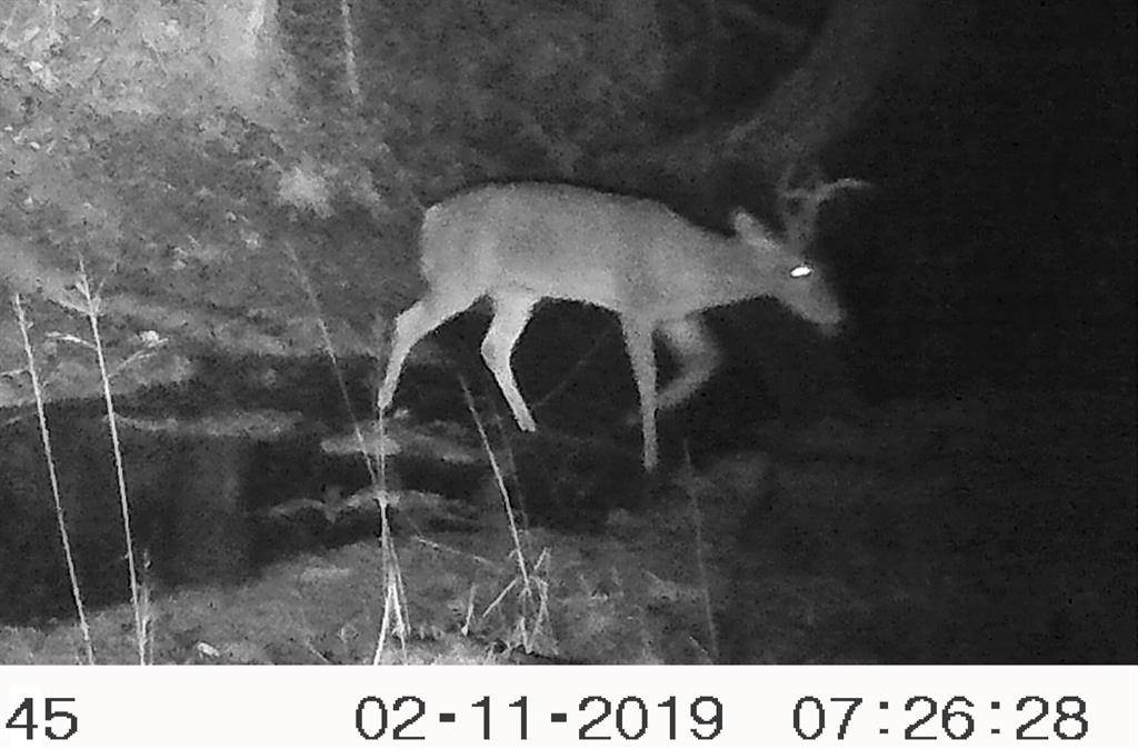 Sidney, TX 76474,4608 Highway 1689