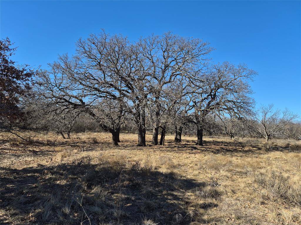 Loving, TX 76460,1168 Shepard Lane