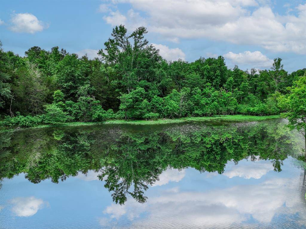 Palestine, TX 75801,3732 US Highway 84