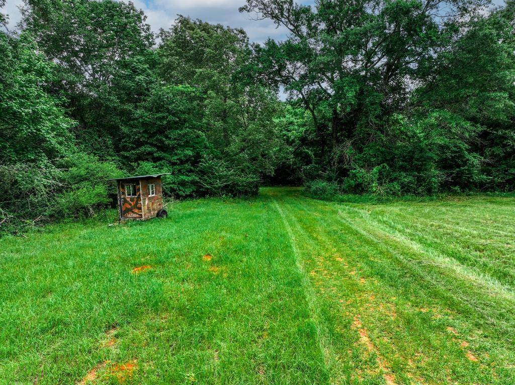 Palestine, TX 75801,3732 US Highway 84