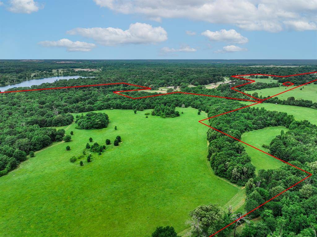 Palestine, TX 75801,3732 US Highway 84