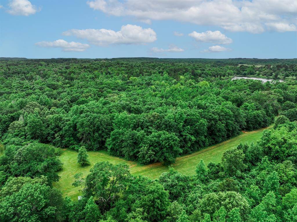 Palestine, TX 75801,3732 US Highway 84