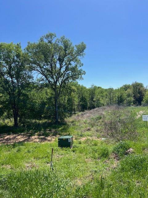 Brock, TX 76087,1004 Bermes Court