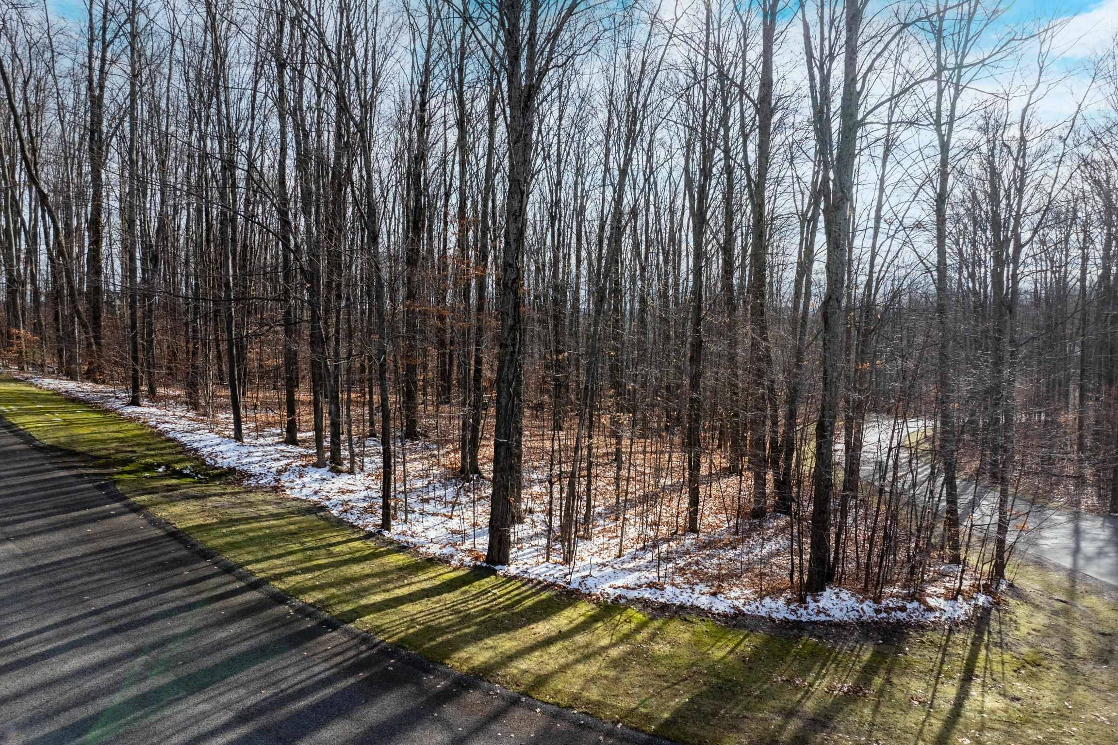 Bellaire, MI 49615,158 Forest Highlands