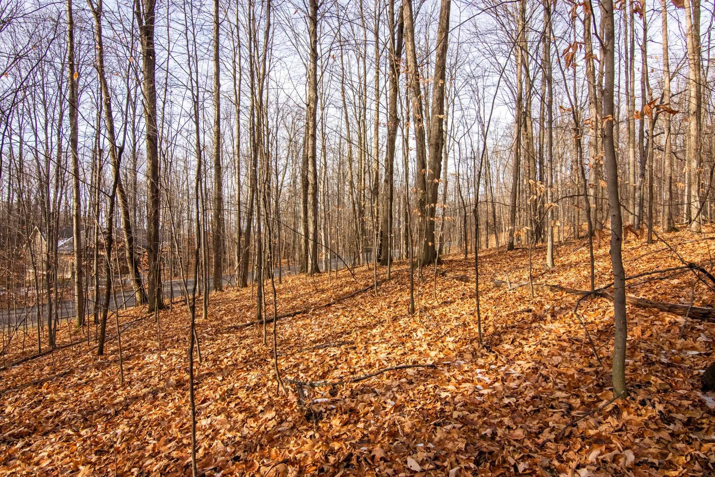 Bellaire, MI 49615,158 Forest Highlands