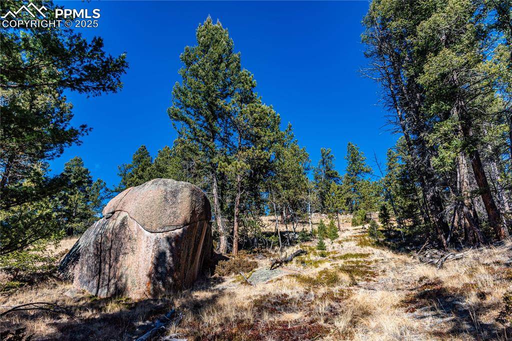 Florissant, CO 80816,TBD Arrowhead RD