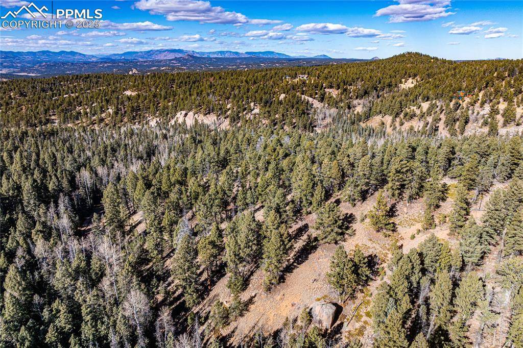 Florissant, CO 80816,TBD Arrowhead RD