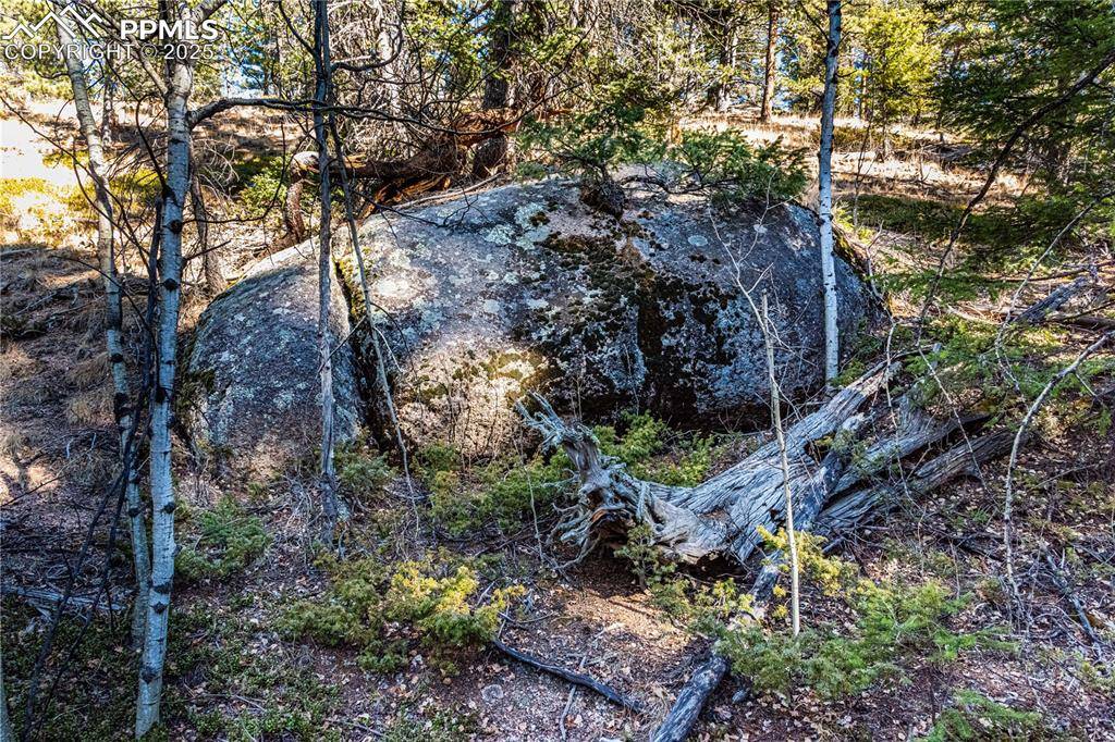 Florissant, CO 80816,TBD Arrowhead RD