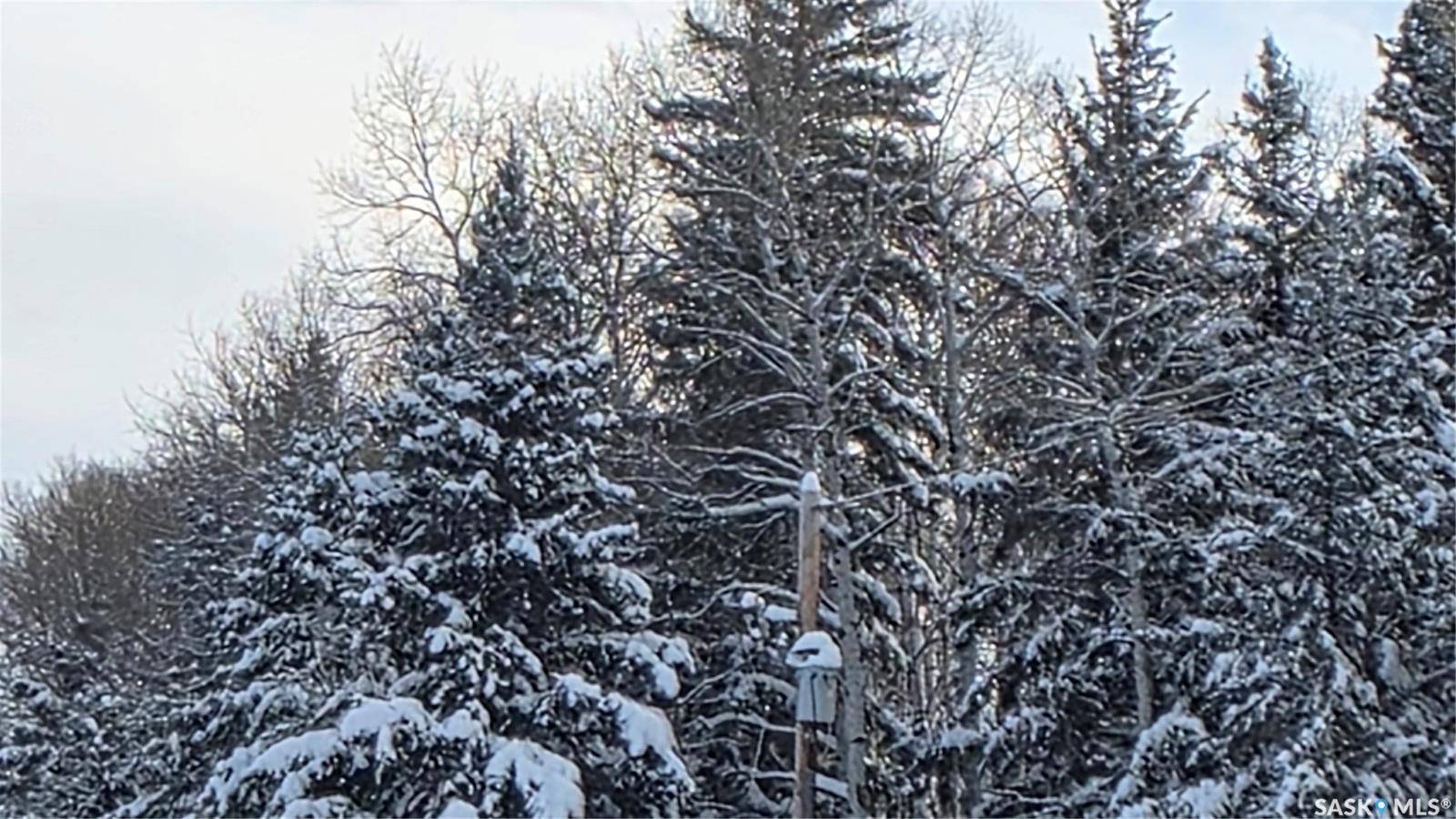 Paddockwood Rm No. 520, SK S0J 0G1,SW-26-53-26-2 Forrest Gate ROAD