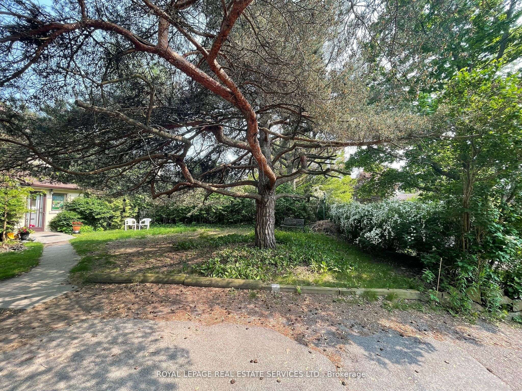 Toronto W01, ON M6S 2X4,239 Ellis AVE #Upper