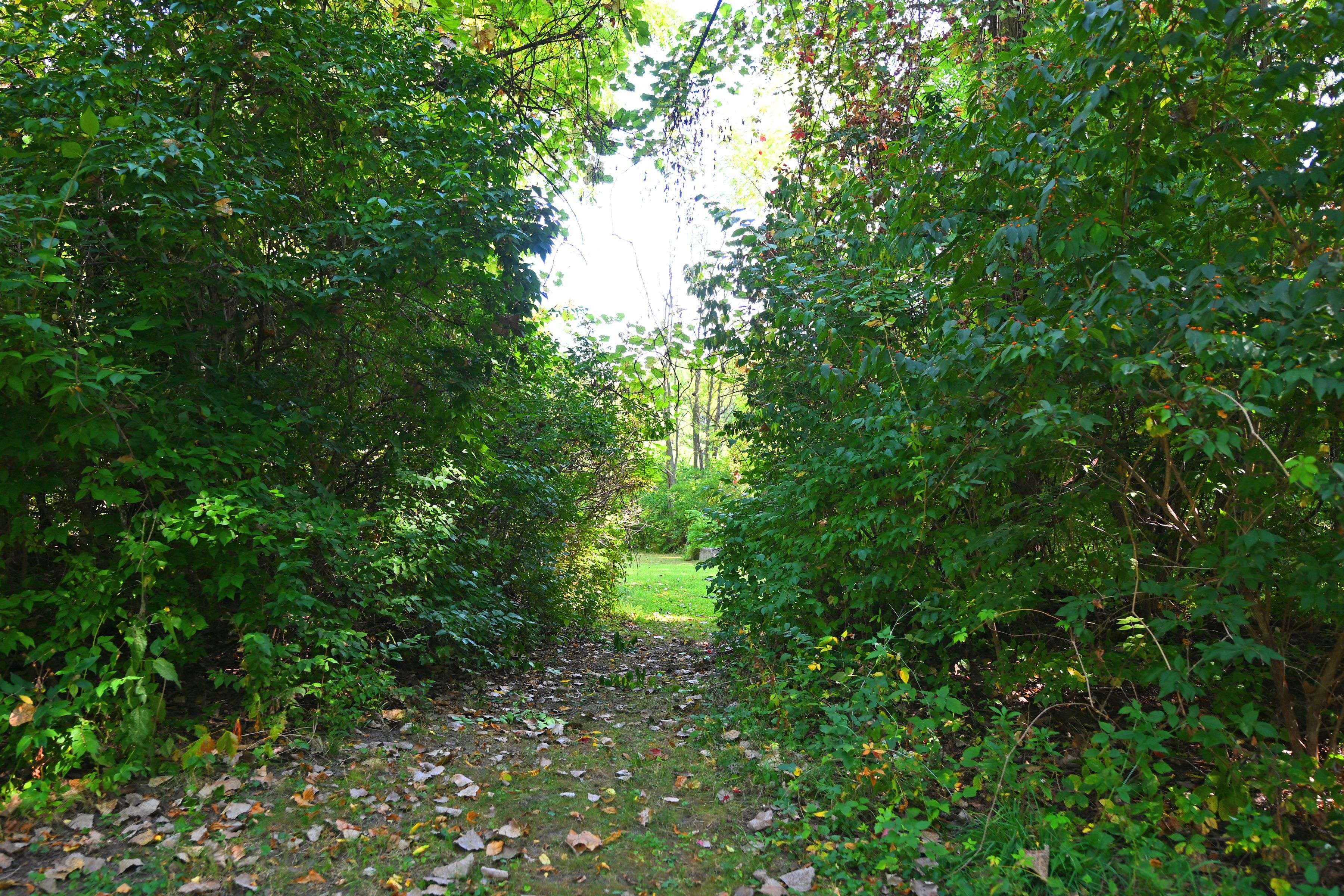 London South, ON N6J 1H8,65 Cove RD