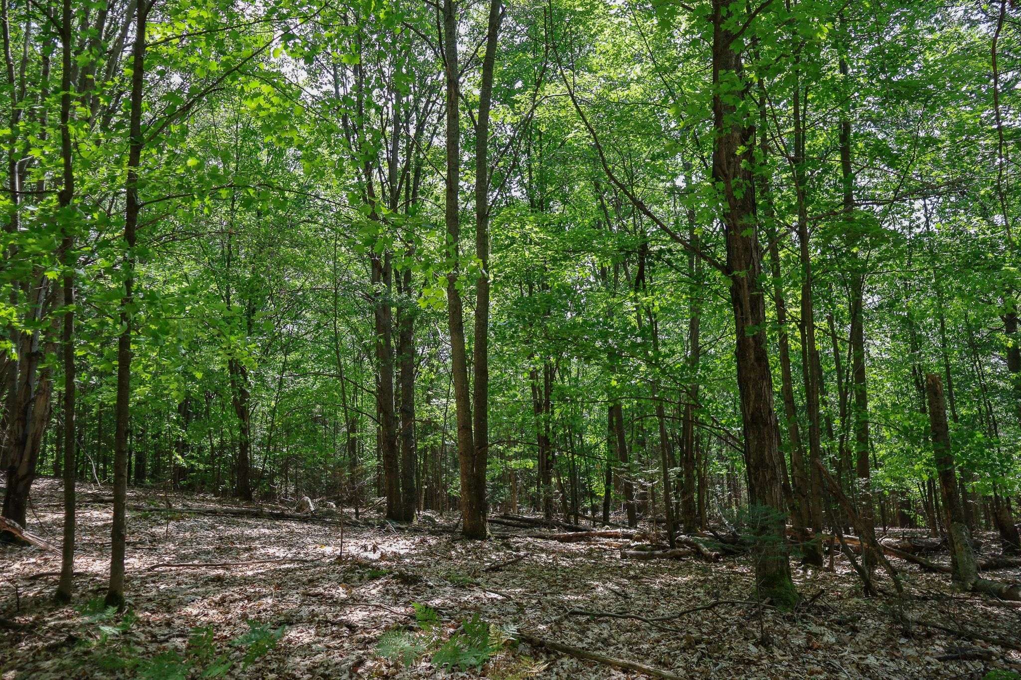 East Ferris, ON P0H 1B0,Lot 12 South Shore RD