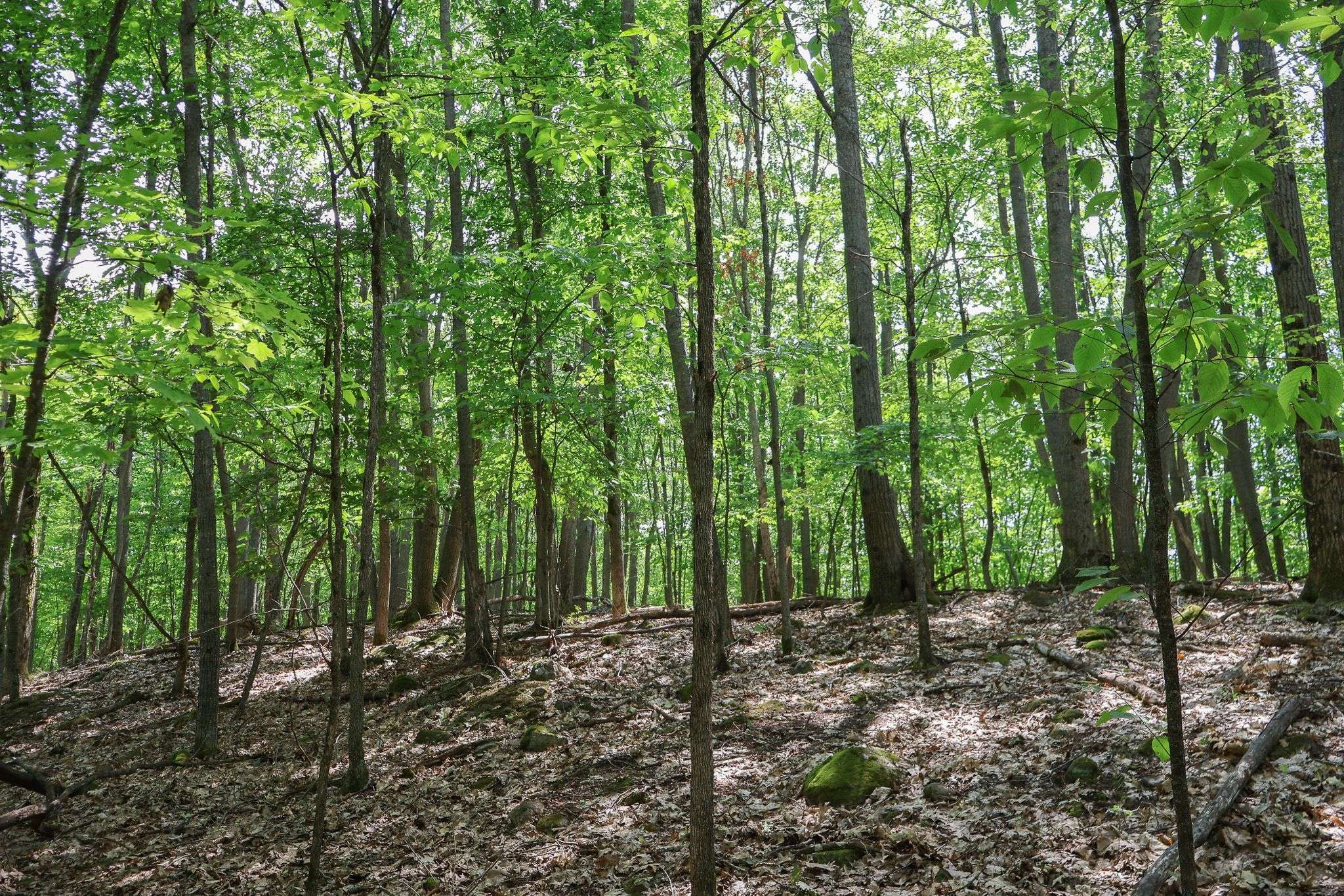 East Ferris, ON P0H 1B0,Lot 12 South Shore RD