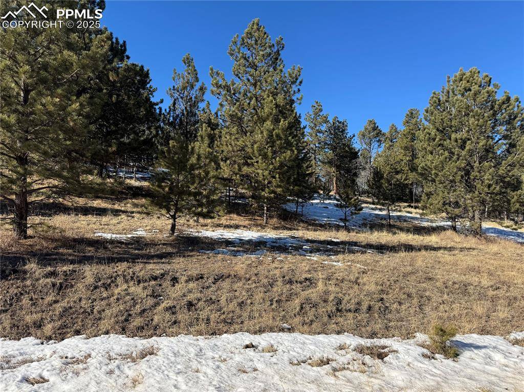 Florissant, CO 80816,91 Hidden Valley DR