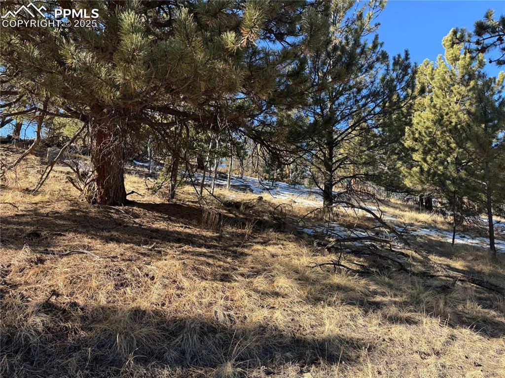 Florissant, CO 80816,91 Hidden Valley DR