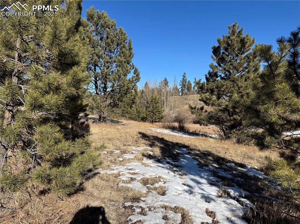 Florissant, CO 80816,91 Hidden Valley DR