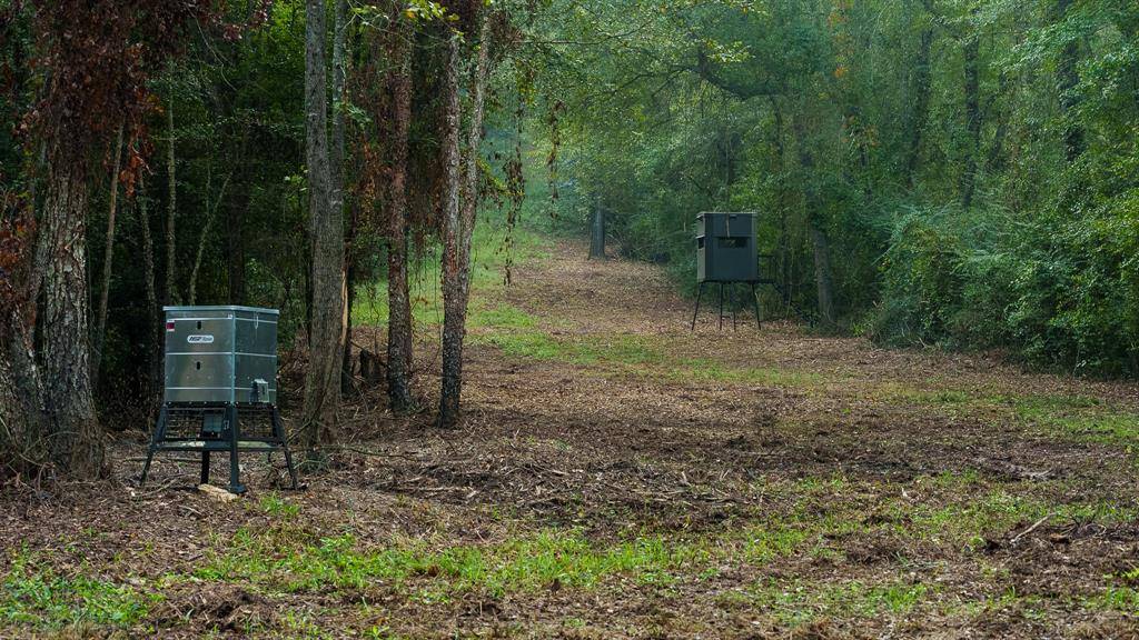 Winona, TX 75792,TBD C R 354