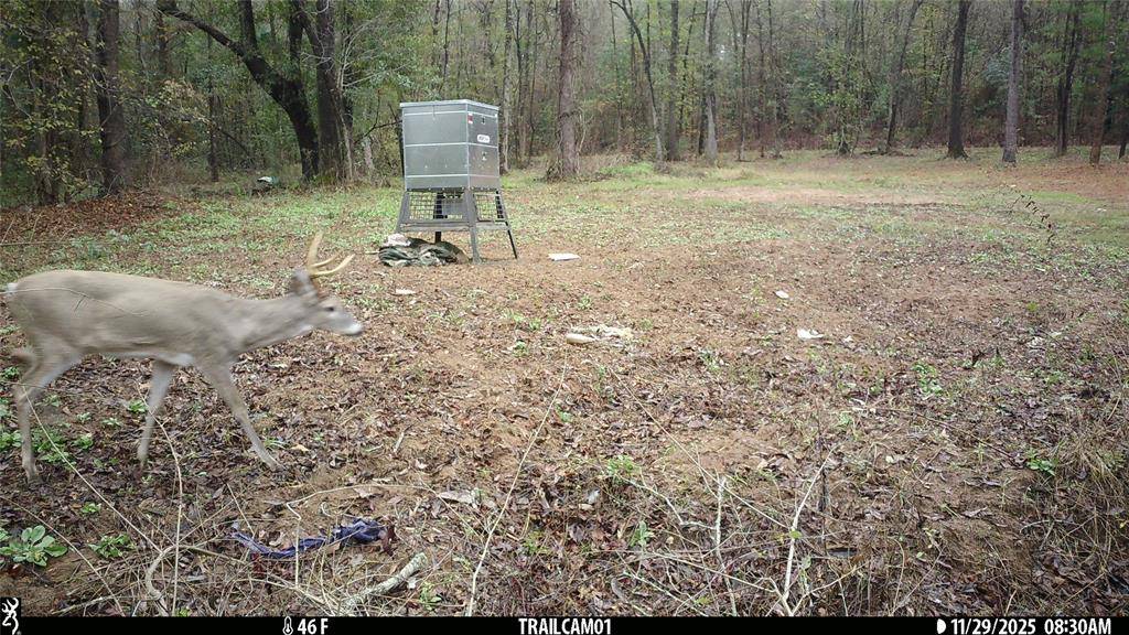 Winona, TX 75792,TBD C R 354