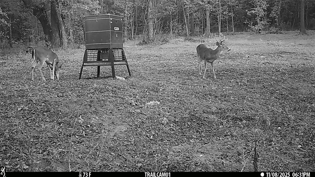 Winona, TX 75792,TBD C R 354