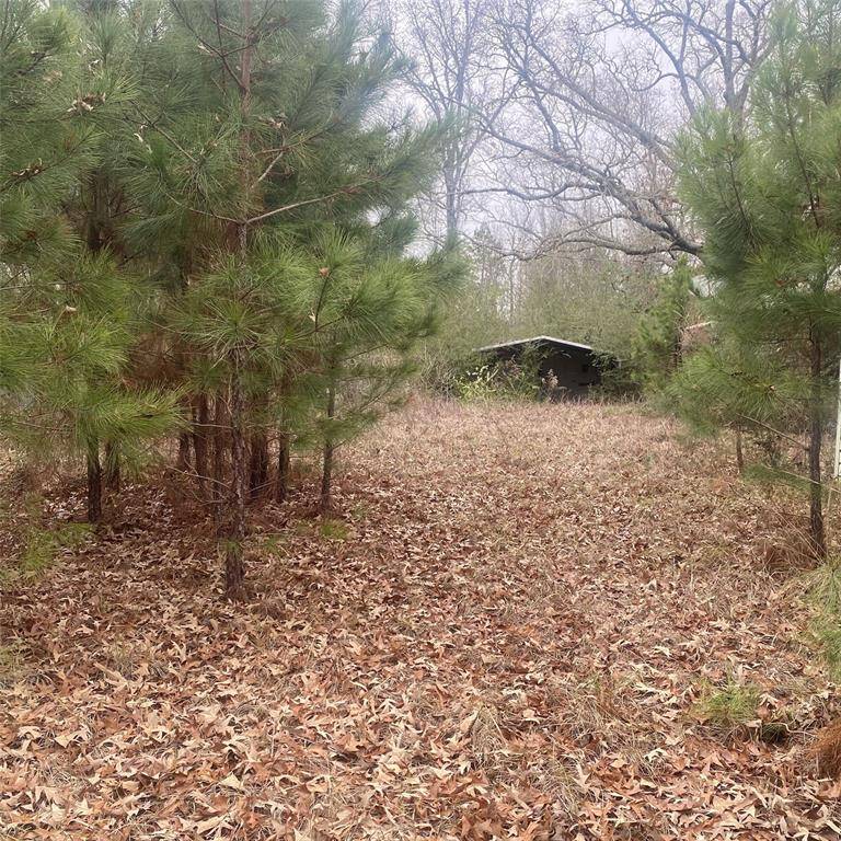 Mansfield, LA 71052,908 WPA Rd