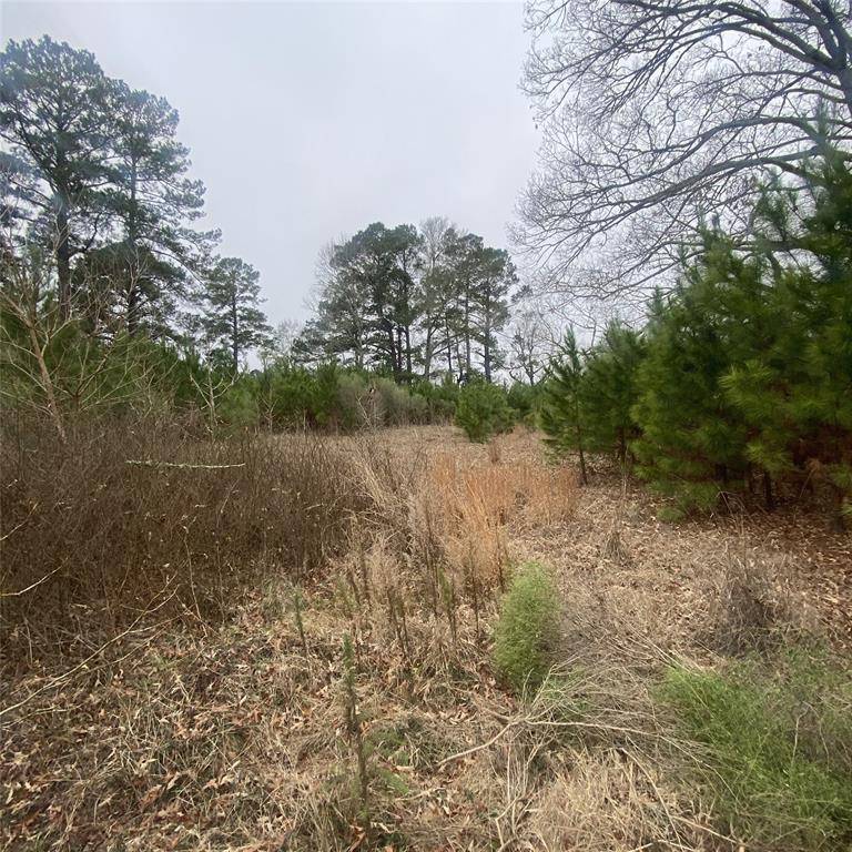 Mansfield, LA 71052,908 WPA Rd