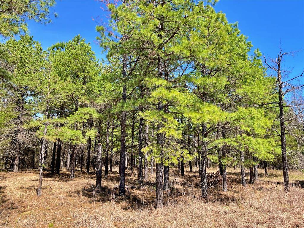 Mead, OK 73449,7275 Leavenworth Trail