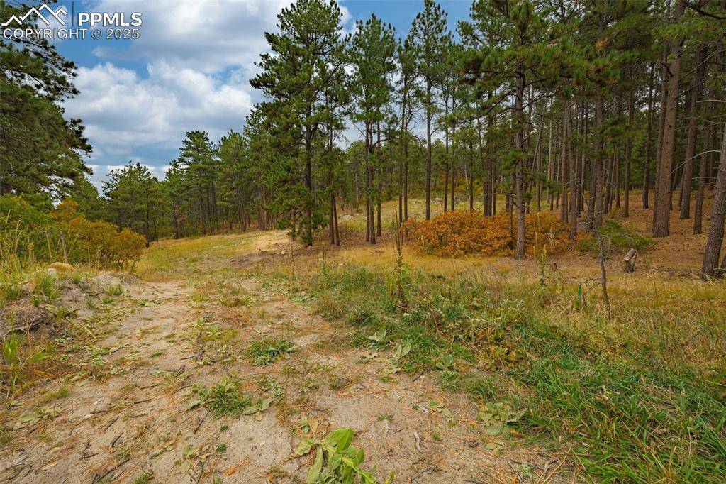 Larkspur, CO 80118,14420 S Perry Park RD