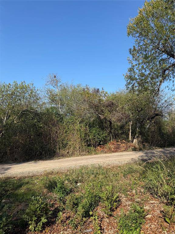 Holland, TX 76534,319 Front Street