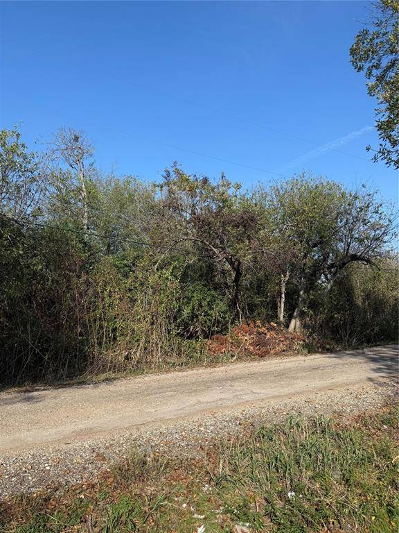 Holland, TX 76534,319 Front Street