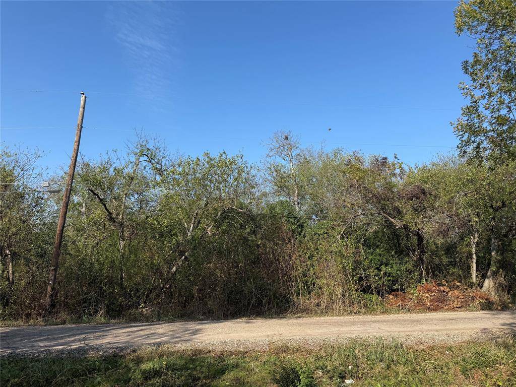 Holland, TX 76534,319 Front Street