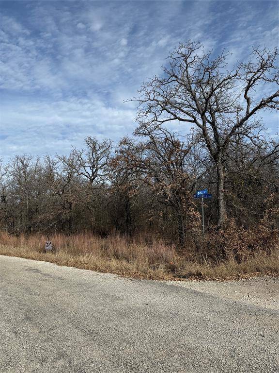 Runaway Bay, TX 76426,0 Miller Court