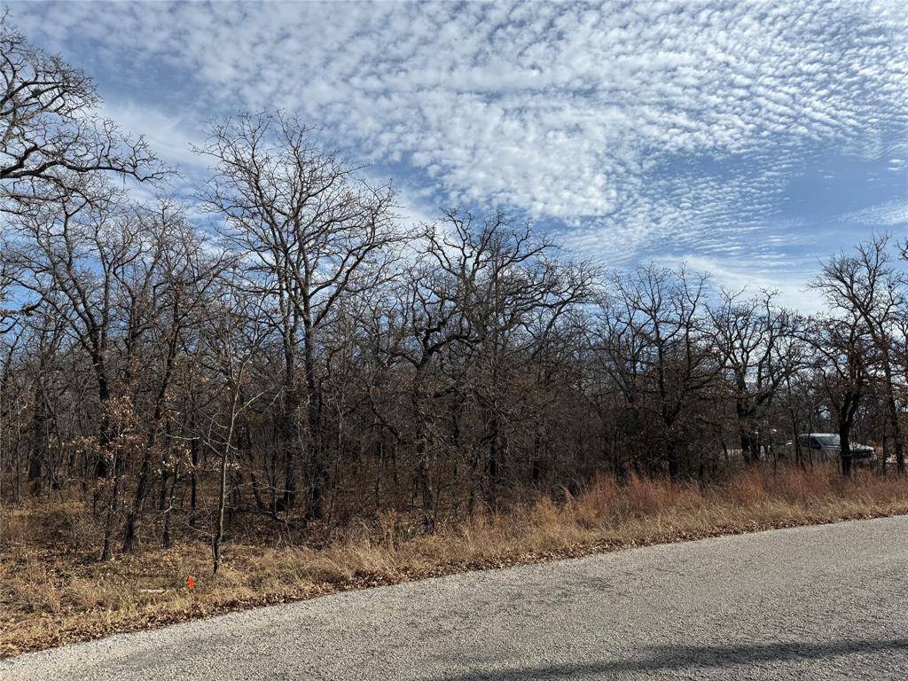 Runaway Bay, TX 76426,0 Miller Court