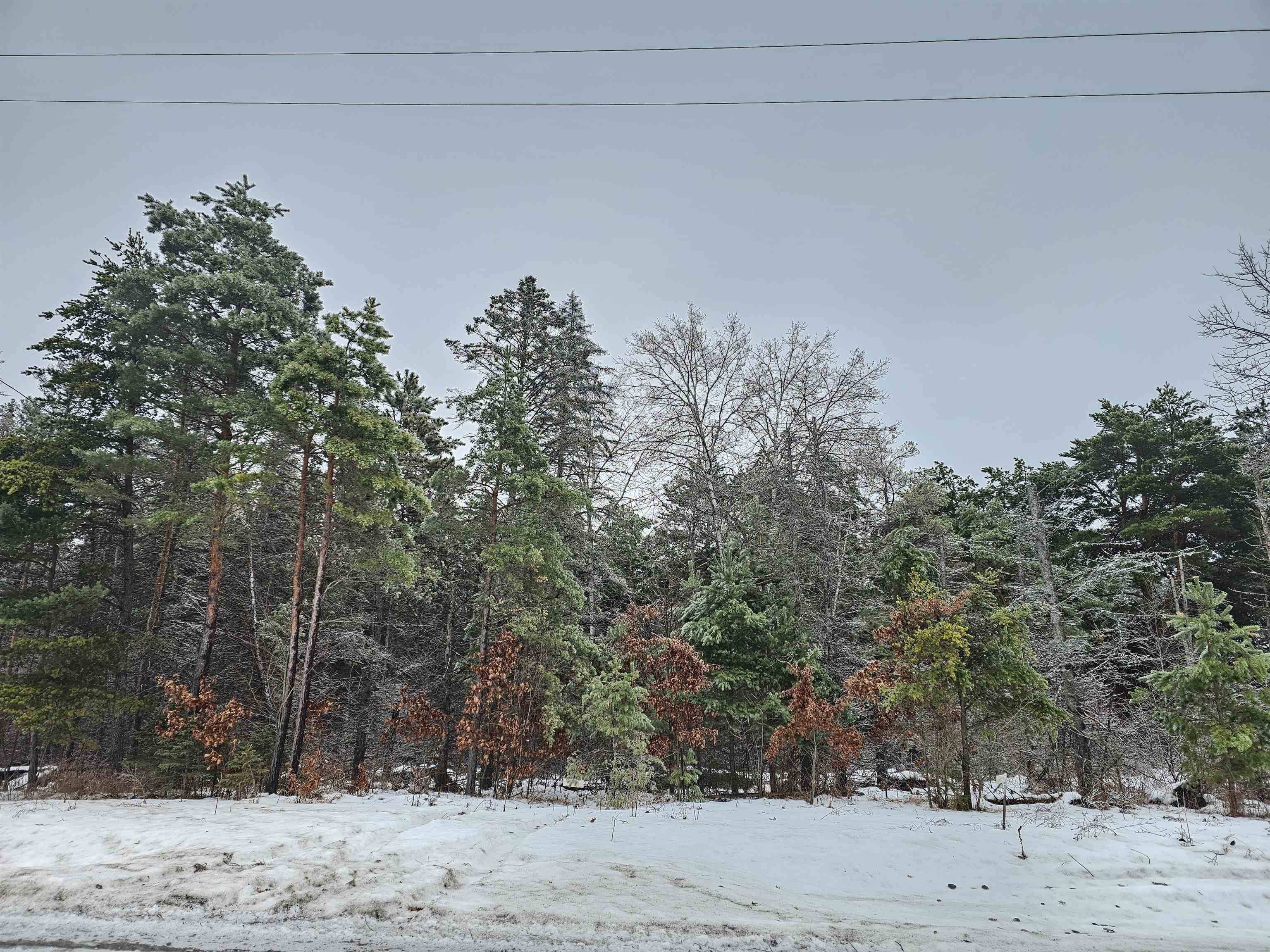 Lake City, MI 49651,00 Dickerson RD