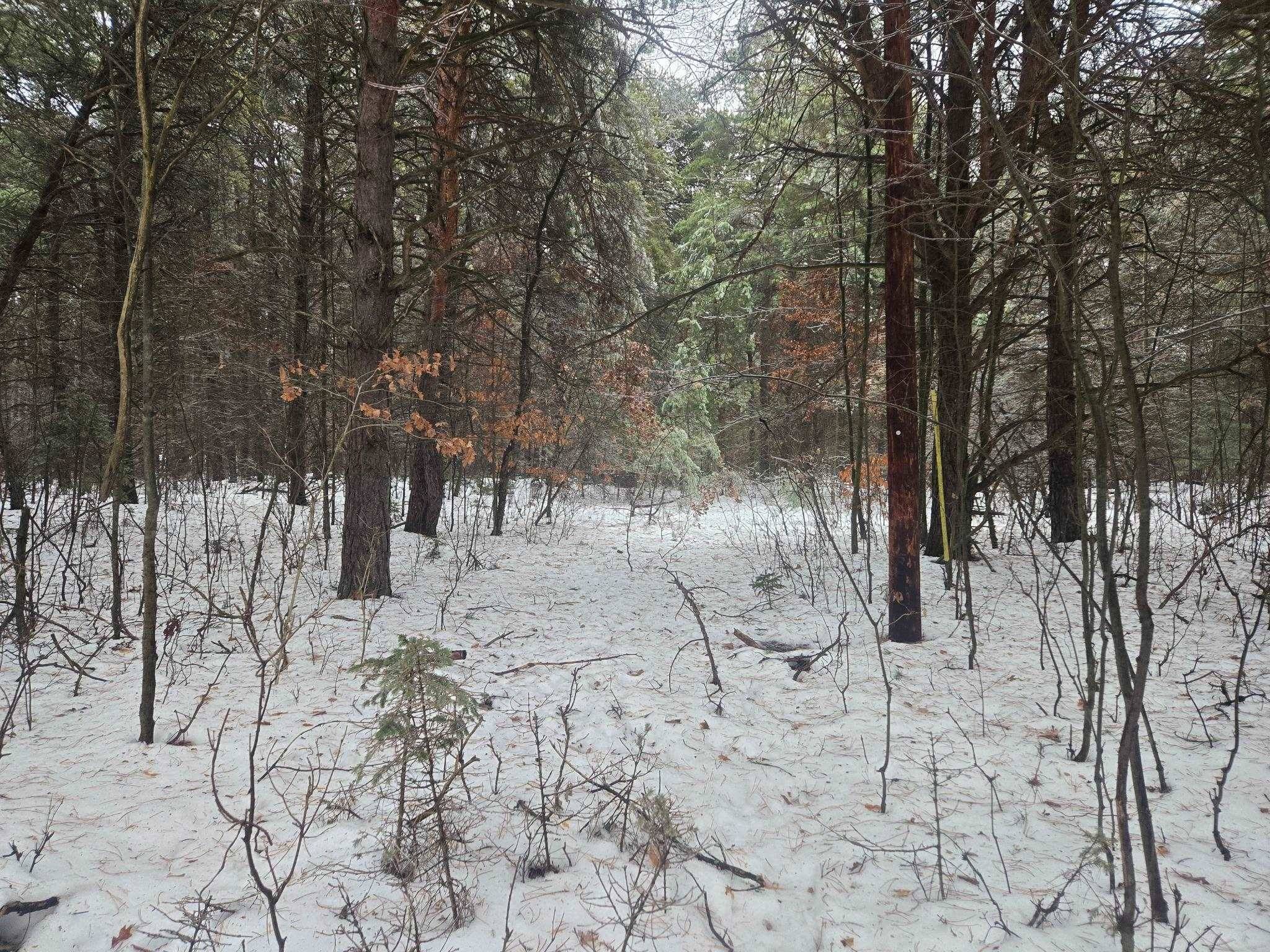 Lake City, MI 49651,00 Dickerson RD